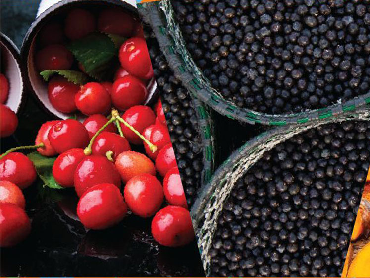 Sports nutrition’s flavours of the future
