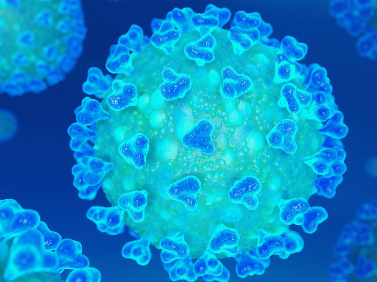 Squalene may reduce mortality and rehospitalisation among COVID-19 subjects