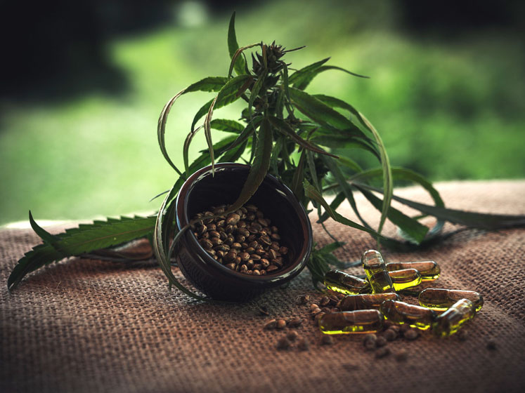 STADA enters exclusive medical cannabis partnership