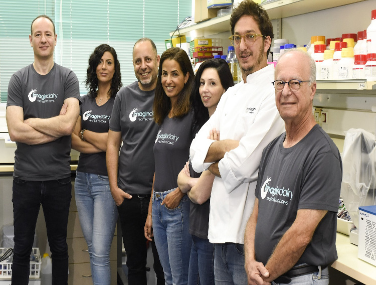 Startup introduces animal-free dairy proteins