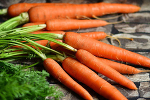 Staying immune fit: how to train the body's defence system
