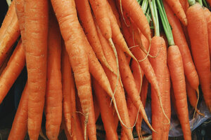 Stem and Root and Nutrileads launch immune supplement