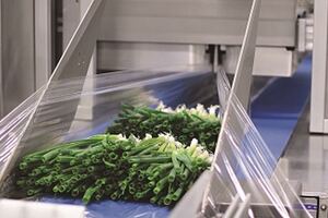 StePac automates its less wasteful packaging line