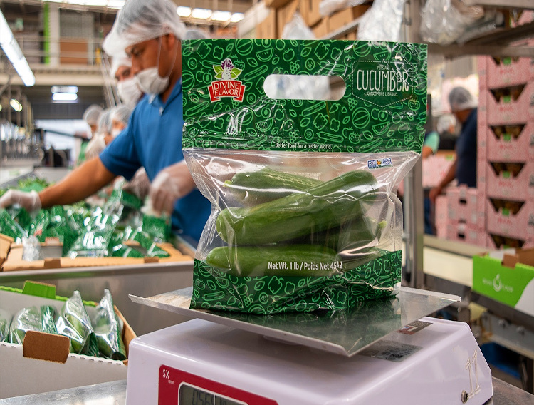 StePac standing pouches reduce supply chain waste