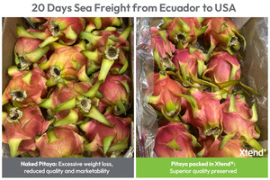 StePacPPC extends global reach of dragon fruit with advanced packaging