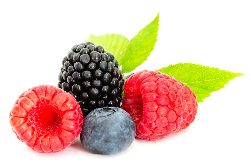 StePacPPC’s pallet-shrouds preserve produce freshness all the way to retail