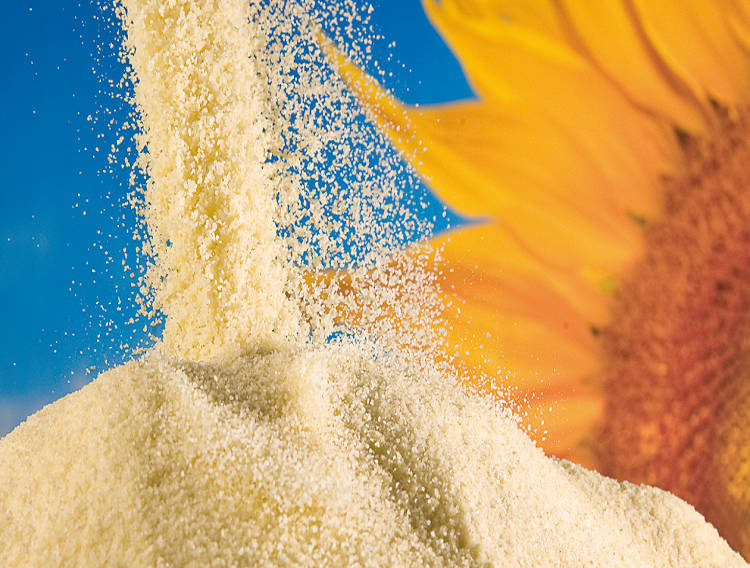 Sternchemie launches lecithin for versatile applications