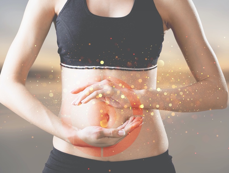 SternLife launches three prebiotic dietary fibre formulations