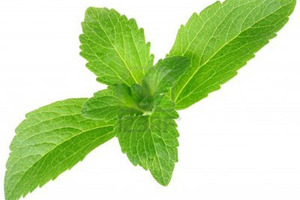 Stevia first: reinventing nutrition by replacing sugar