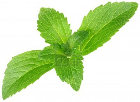Stevia first: reinventing nutrition by replacing sugar