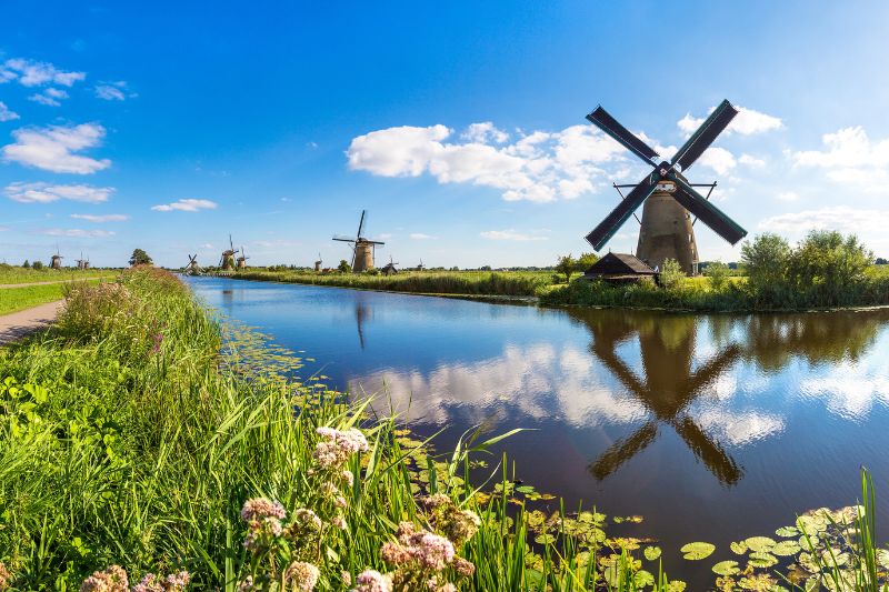 Stratum Nutrition expands to Europe with new Netherlands office to meet growing nutraceutical demand