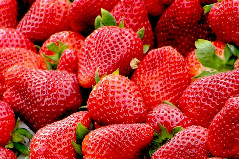 Strawberries could reduce cardiovascular disease risk by 8x, study finds