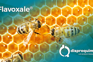 Strengthen your immune system with Flavoxale