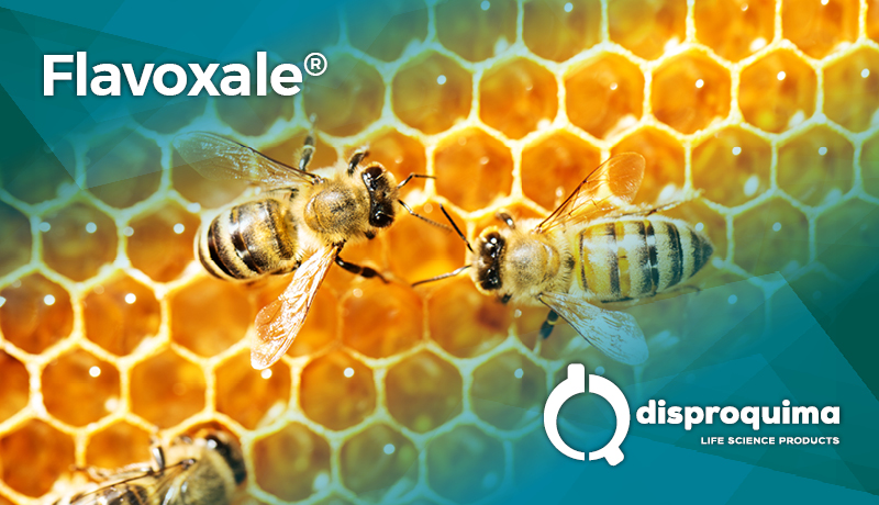 Strengthen your immune system with Flavoxale