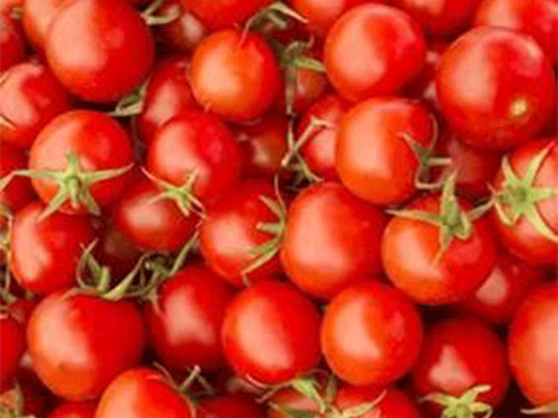 Study confirms powerful effects of Lumenato on improving skin structure and enhancing beauty from within