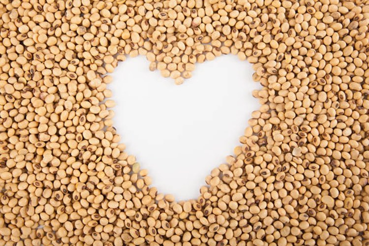 Study defends soy as FDA plots to remove it from heart-healthy food list