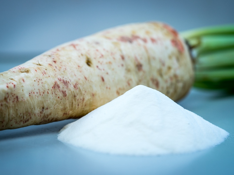 Study demonstrates prebiotic chicory root efficacy in growth of bacteria