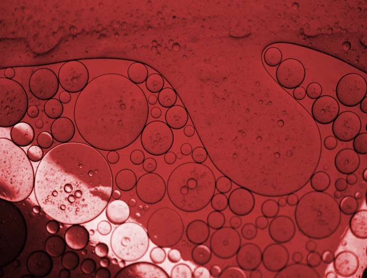 Study extols astaxanthin extraction with novel GRAS solvents