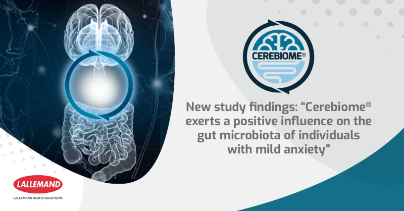 Study finds Cerebiome exerts a positive influence on the gut microbiota of individuals with mild anxiety