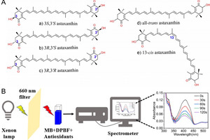 Study finds differences in antioxidant activities of astaxanthin isomers