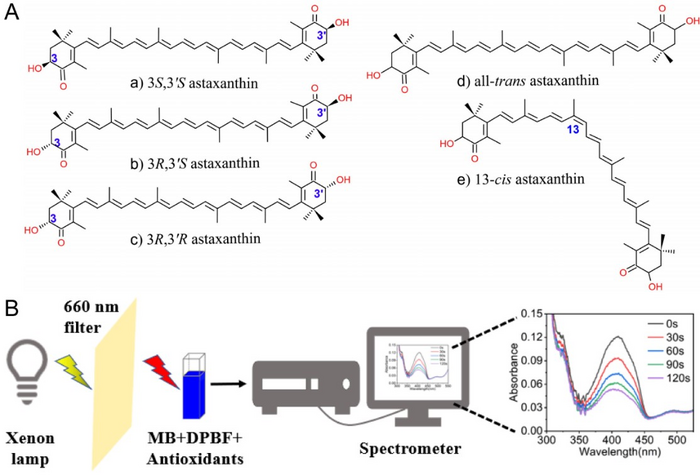 Study finds differences in antioxidant activities of astaxanthin isomers