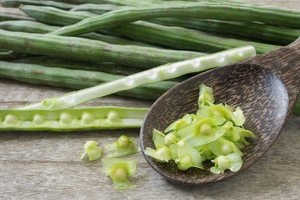 Study finds moringa seeds help desk worker symptoms