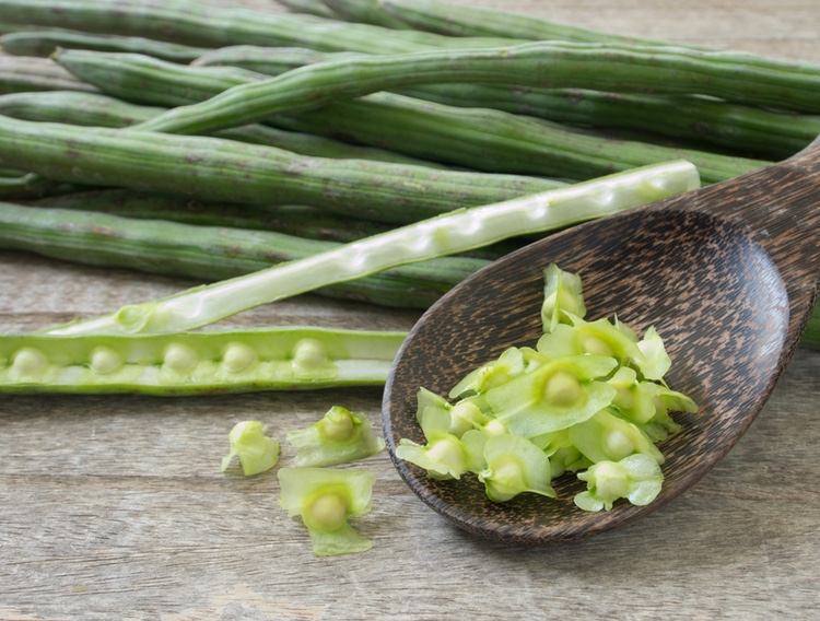 Study finds moringa seeds help desk worker symptoms