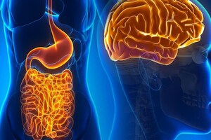 Study reports findings of probiotics effect on depressive symptoms