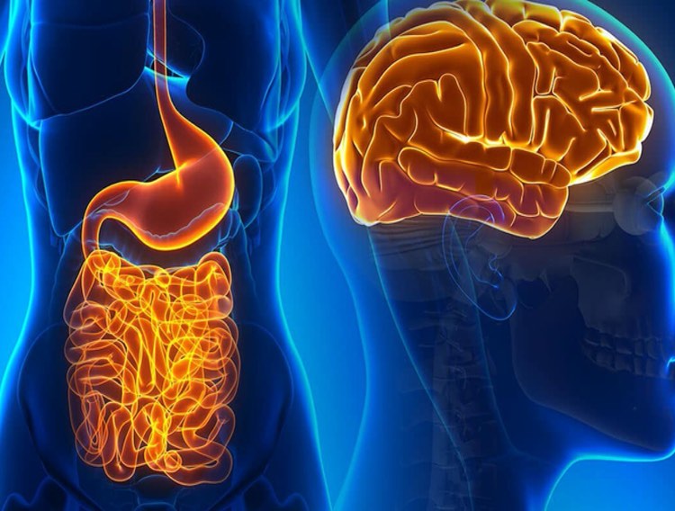 Study reports findings of probiotics effect on depressive symptoms