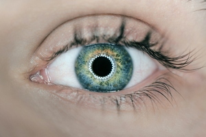 Study reveals effects of capsanthin on ocular system