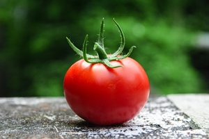 Study reveals effects of tomato nutrient complex