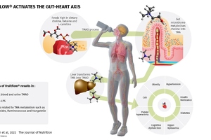 Study reveals effects on gut-heart axis from polyphenol-rich extracts