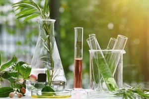 Study reveals improved microbiota composition and SCFA production