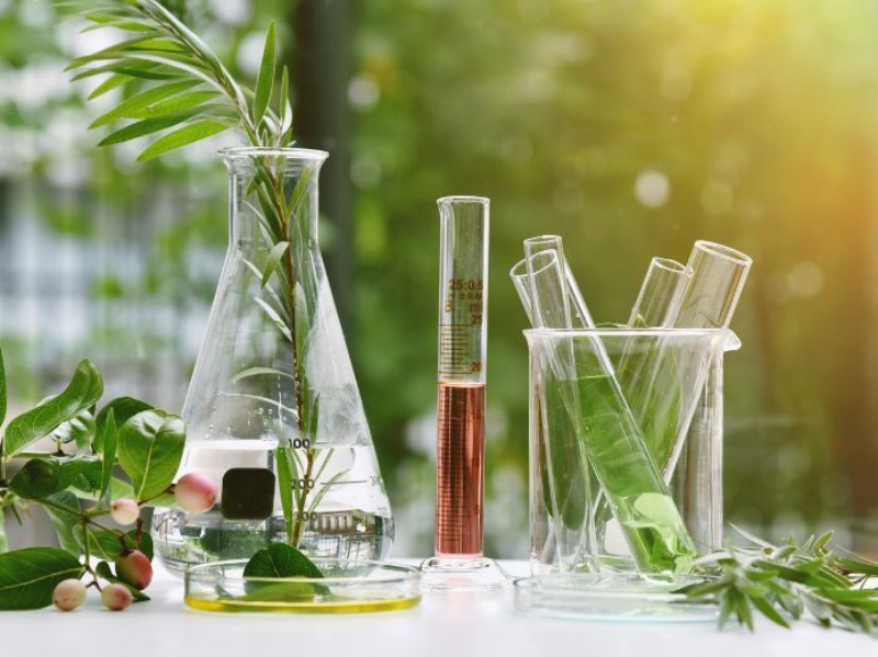 Study reveals improved microbiota composition and SCFA production