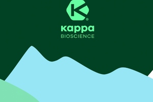 Study reveals new supplement for vitamin K improvement