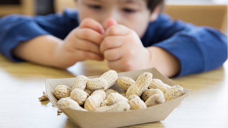 Study shows AI can improve best pactices in managing nut allergies
