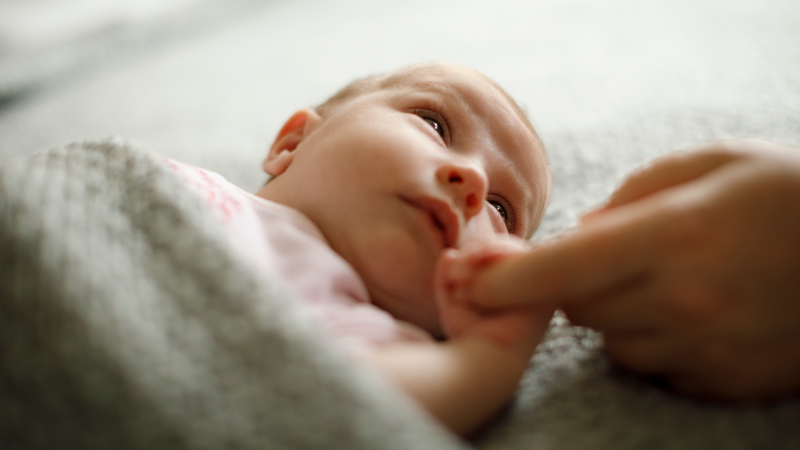 Study shows Probi probiotic strains well tolerated in newborns