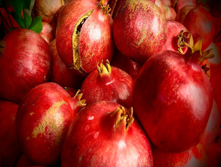 Study supports Euromed extract’s skin benefits
