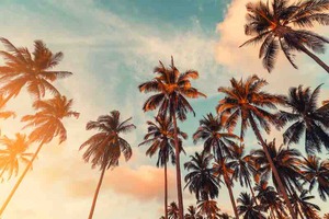 Study: Tocotrienol-rich functional beverage promotes healthy ageing