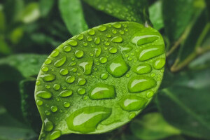 Suanfarma collaborates on natural ingredients with Solvay 
