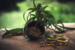 Successful marketing of medicinal cannabis and cannabis-derived products: part II

