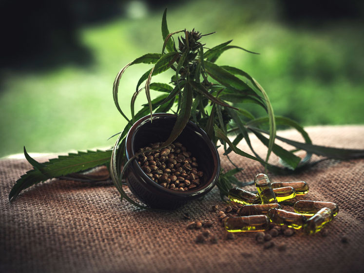 Successful marketing of medicinal cannabis and cannabis-derived products: part II
