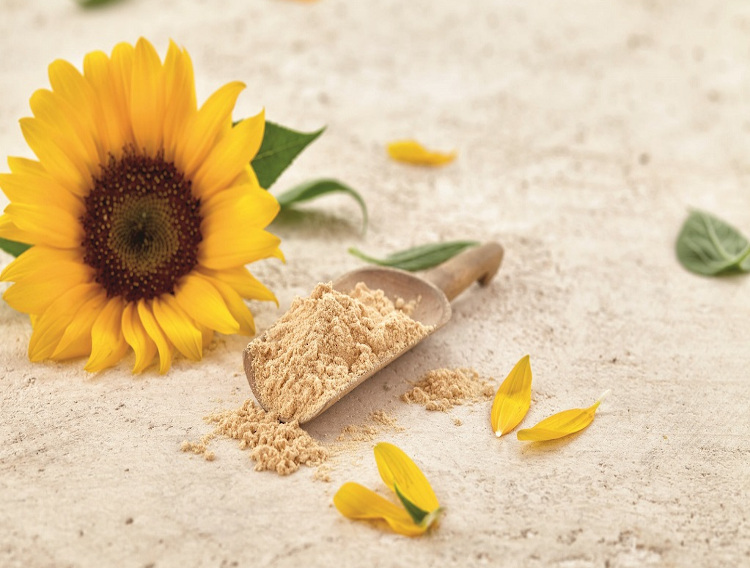 Sunflower lecithin from Sternchemie earns GRAS recognition