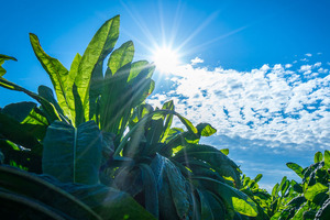 Supply chain sustainability: lessons learnt