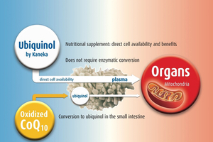 Supporting mitochondrial functions with ubiquinol