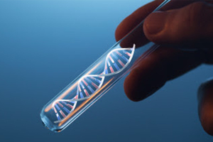Surge in industry interest in nutrigenomics, research finds