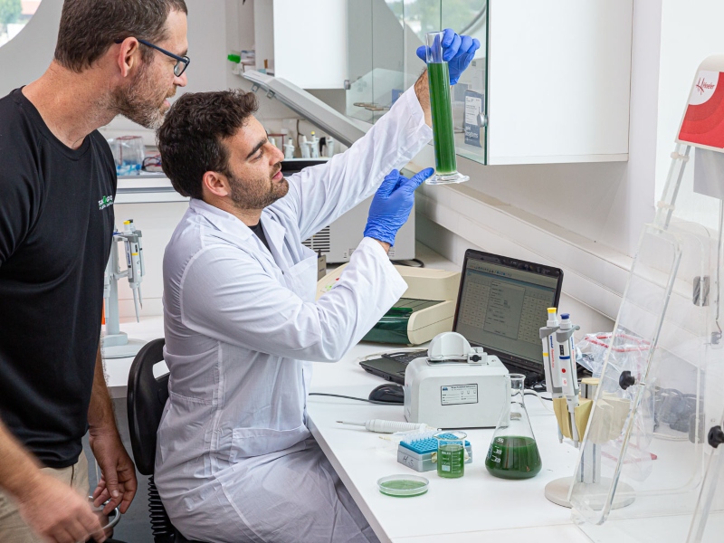 Sustainable "closed-loop" spirulina production collaboration