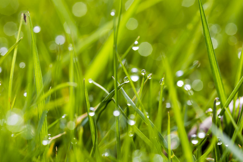 Sustainable collaboration in food and beverage manufacturing