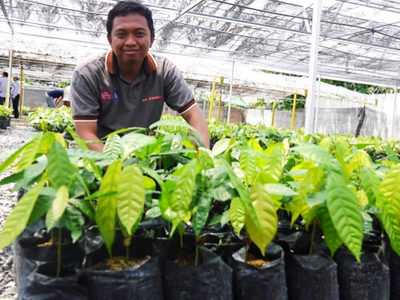 Sustainable farming practices create premiums for low-income cocoa farmers

