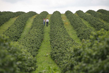 SVZ invests in puree concentrate line to meet soaring demand for vegetables